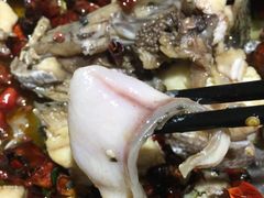 -皇中百岁鱼(西兰路店)
