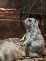 -Zoolung Zoolung动物主题公园(海信广场店)