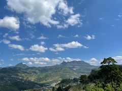 -重庆睡佛山森林公园
