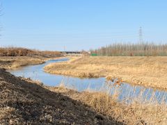 -东郊湿地公园