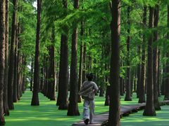-渌洋湖湿地公园