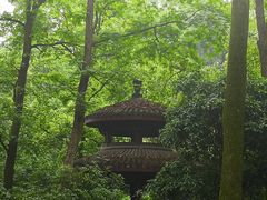 -西湖外事游船(花港观鱼码头)