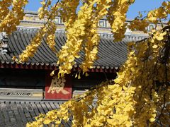 -西园戒幢律寺