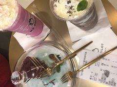 -飞行喵MR PILOT|猫舍·猫咖(静安大融城店)