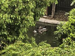-上海瑞金洲际酒店