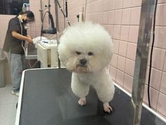 -FAELING PETS美天灵宠物(富力广场店)