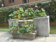 -一尺花园(安和花园店)