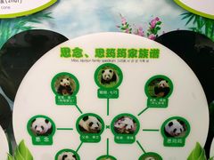 -灵玲国际马戏城