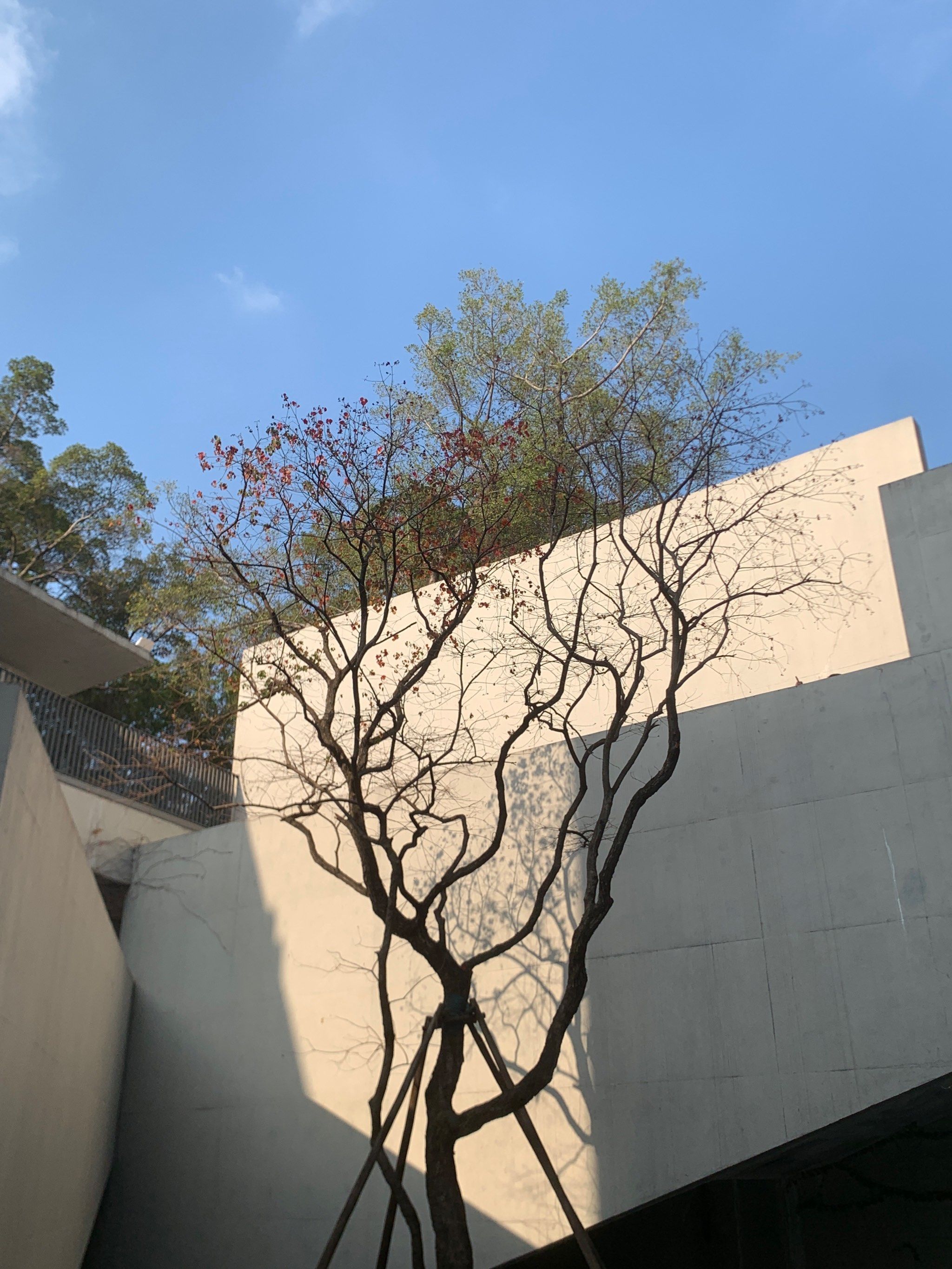 春阳台