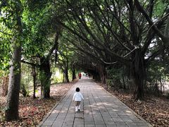 -小洲村