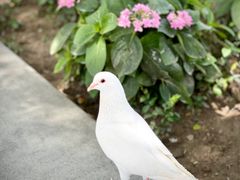 -人民广场