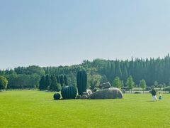 -宜兴龙背山森林公园