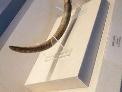 -呼伦贝尔民族博物馆