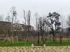 -沐仙湖湿地公园