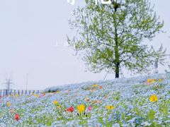 -上海辰山植物园