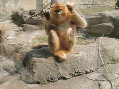 -大连森林动物园