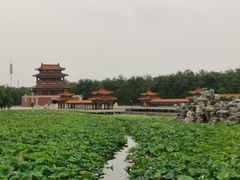 -南戴河国际娱乐中心