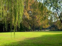 -柳莺湖上·湖景餐厅·江南菜(西湖店)