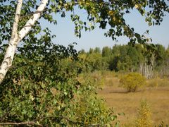 -塞罕坝国家级自然保护区