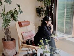 -白茶原·一片叶子