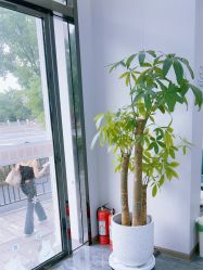 -苗方清颜专业祛痘·皮肤管理