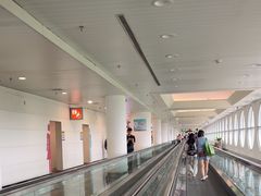 -厦门高崎国际机场-T3航站楼