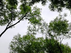 -莲湖公园