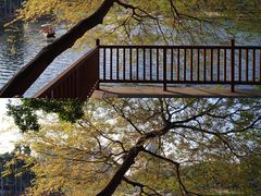 -荔湾湖公园