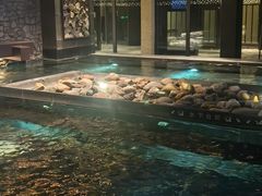 -清河半岛温泉度假酒店