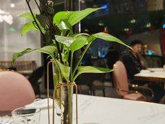店内布置-桐爷小馆(广渠门店)