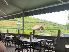 -听风阁农家私房菜茶楼(龙坞店)