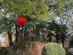 -中国唐苑