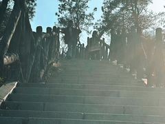 -青龙山国家森林公园