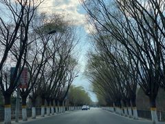-十三陵水库