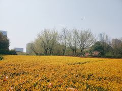 -白塘生态植物园