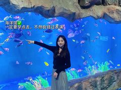 -威海华夏城景区