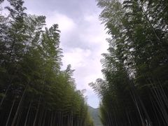 -天目湖御水温泉·度假酒店