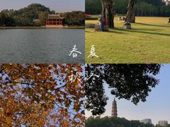 -顺峰山公园