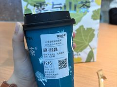 -雾与山茶(大禹城店)