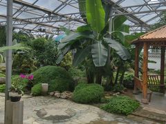 -石家庄市植物园
