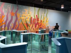 -北京科学中心儿童乐园