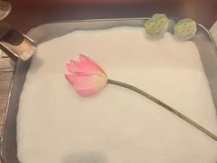 -辉·四季料亭·怀石料理·深夜食堂烧鸟·Omakase