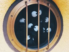 -三鹰之森吉卜力美术馆