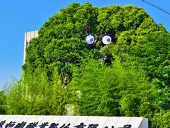 -镇江中国醋文化博物馆