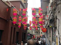 -猫咪博物馆(顶澳仔猫街店)