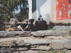 -石潭村