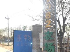 -1982农场