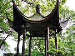 -东湖落雁景区