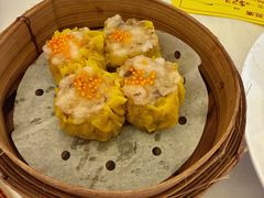 -美心皇宫(屯门大会堂店)