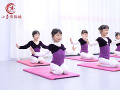 -小芳舞蹈团·少儿舞蹈·中国舞(龙江校区)